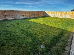 Ann B.'s turf maintenance service result