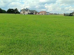 Carmelle M.'s lawn maintenance service result