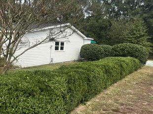 Teresa V.'s Bush Trimming service result