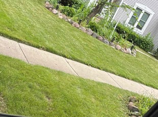 Amanda C.'s grass cutting service result