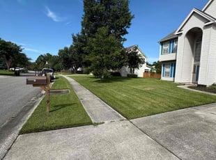 Justina M.'s grass cutting service result