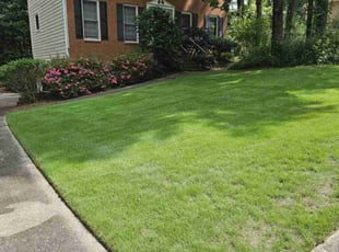 Ang M.'s grass maintenance service result