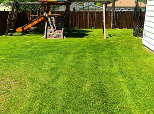 Joey F.'s grass cutting service result