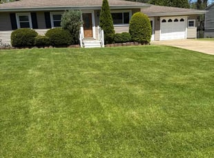 Heidi N.'s grass maintenance service result