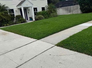Miguel S.'s lawn care services service result