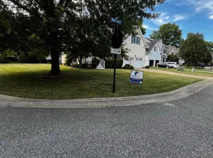 Dan H.'s yard care service result