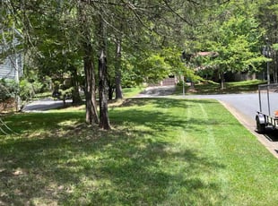Marci T.'s grass maintenance service result