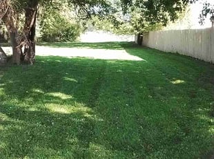 Elliot M.'s turf care service result