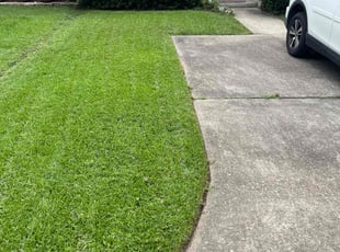 Diana M.'s lawn care services service result
