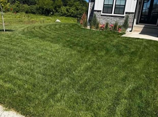 Chelle W.'s grass cutting service result