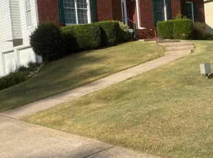 Autumn N.'s grass maintenance service result