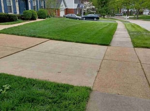 Kurtis S.'s residential landscaping service result