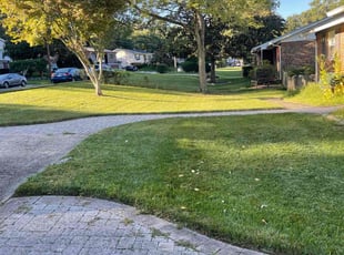 Oganya U.'s lawn service service result