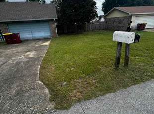 Luis C.'s grass cutting service result