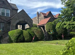 Bryant M.'s lawn care services service result