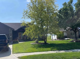 Christopher S.'s lawn maintenance service result