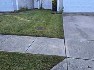 Maria L.'s lawn service service result