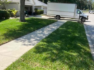 Rohdney T.'s gardening service service result