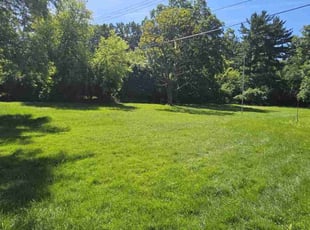 Michael S.'s turf care service result