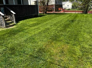 Bala A.'s lawn care services service result