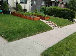 Erica C.'s turf care service result