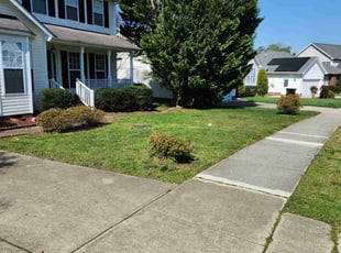 Dustin L.'s landscaping services service result