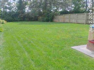 Keefer S.'s lawn care services service result
