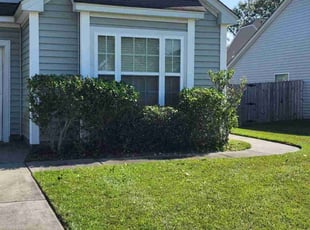 Madison L.'s Bush Trimming service result