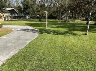Erin C.'s lawn maintenance service result
