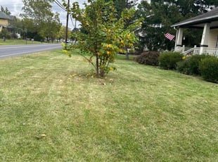 Austin N.'s grass maintenance service result