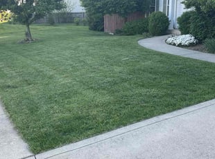 Jen M.'s lawn maintenance service result
