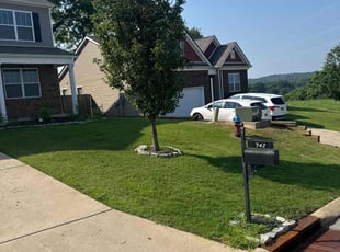 Yegor P.'s lawn care services service result