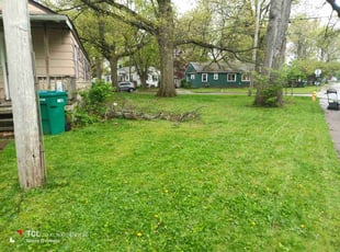 Michael R.'s grass cutting service result