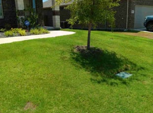 Paula S.'s grass maintenance service result