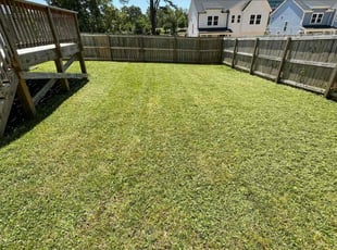 David R.'s grass maintenance service result