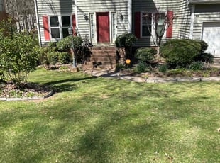 Monique M.'s grass maintenance service result