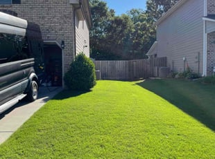 Tammy M.'s yard care service result