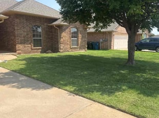 Tara H.'s turf care service result