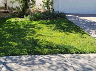 daniel f.'s lawn care services service result