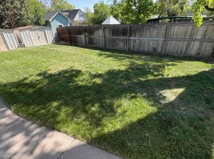 Carla S.'s turf maintenance service result