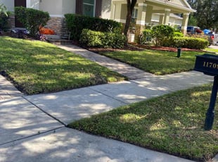 Marchell D.'s turf care service result