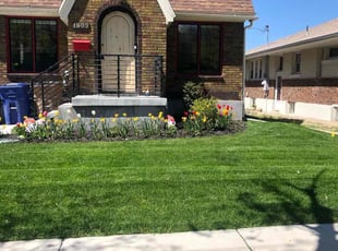 Samantha P.'s turf care service result