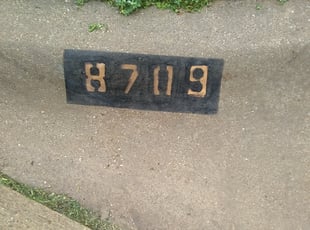 Cynthia T.'s Bush Trimming service result