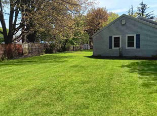 Denise M.'s yard work service result