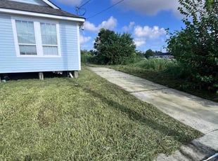 Peter A.'s Long Grass Cleanup service result