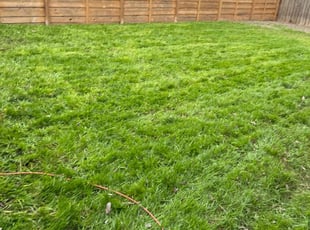 Gary L.'s lawn care services service result