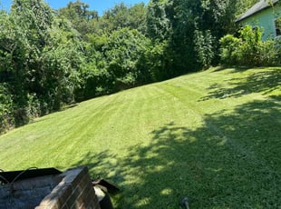 Tahira G.'s lawn service service result