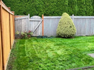 Caroline M.'s lawn service service result