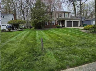 Ann C.'s turf maintenance service result