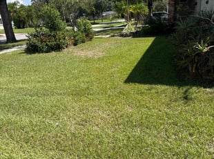 Asia D.'s grass maintenance service result